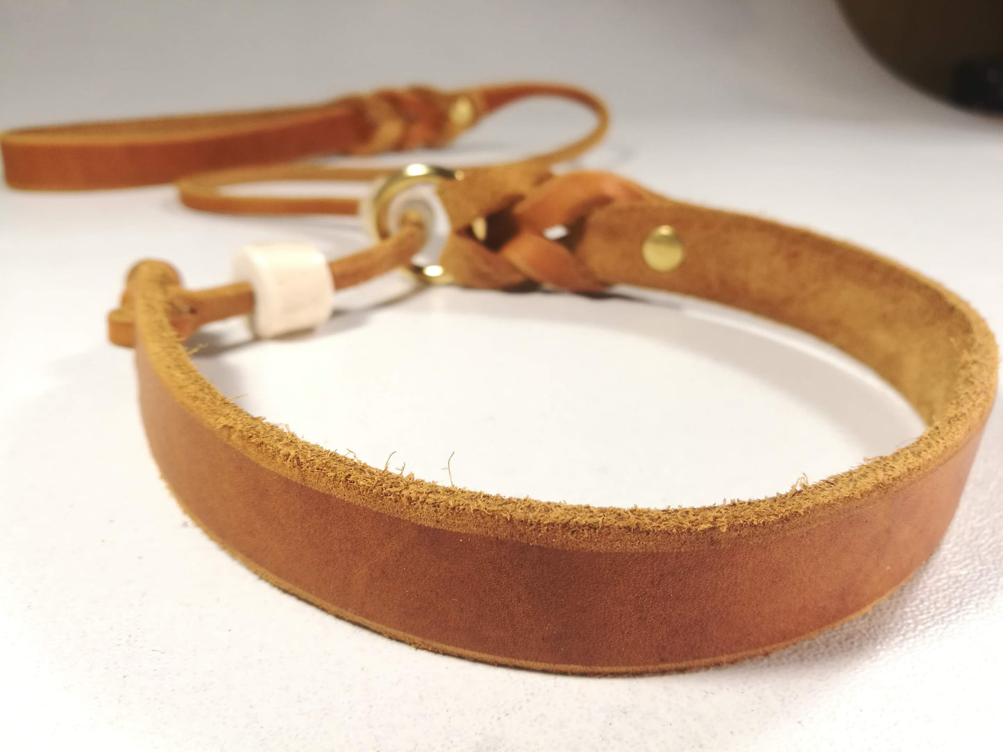 "Willow" mit Halsung, Halsband, Leder, Fettleder, Hund