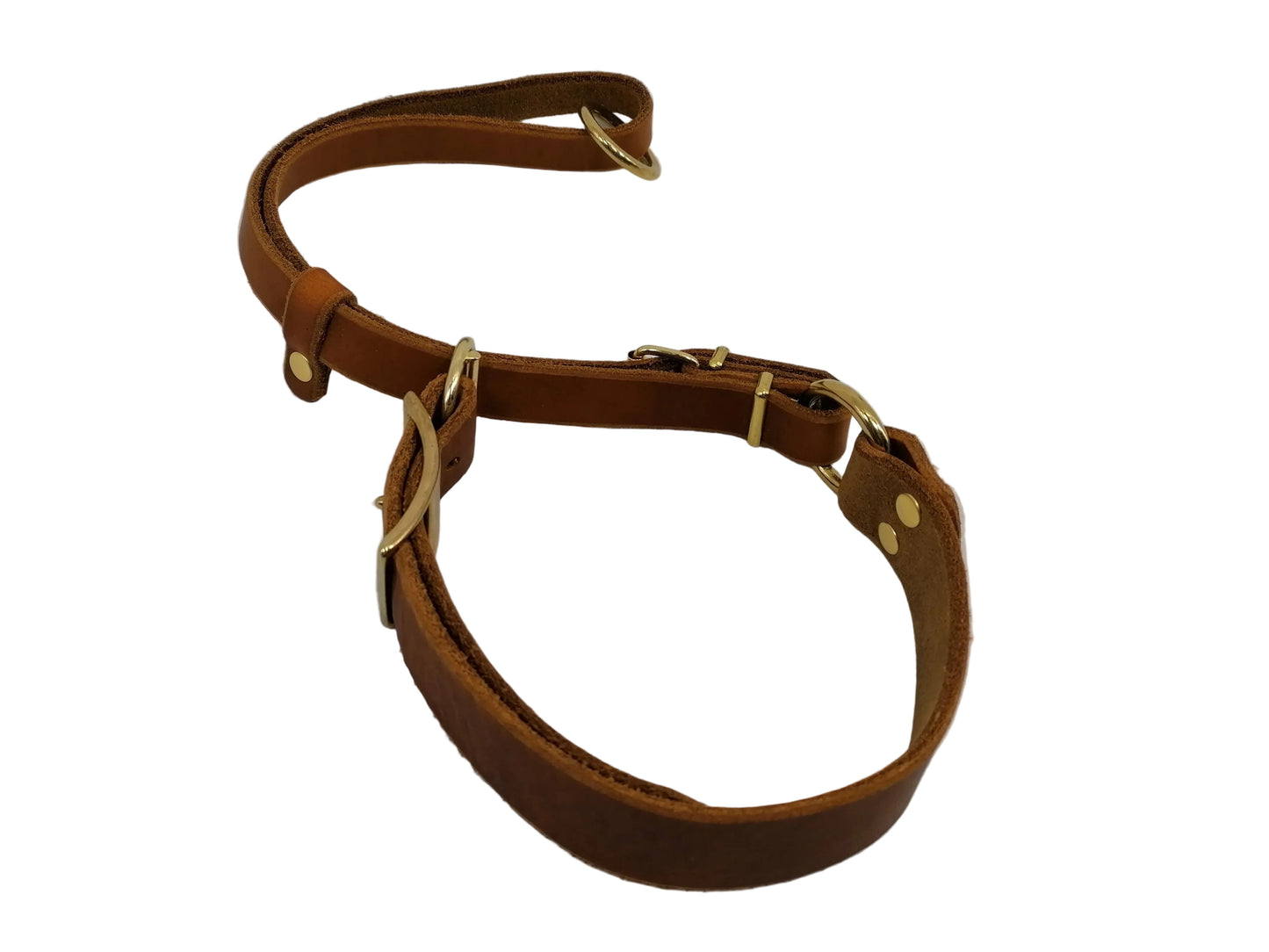 "Xaro" Halsband, Ickler Halsung, Jagdhalsung, Fettleder, Zugstopp, verstellbar, Leder, Hund