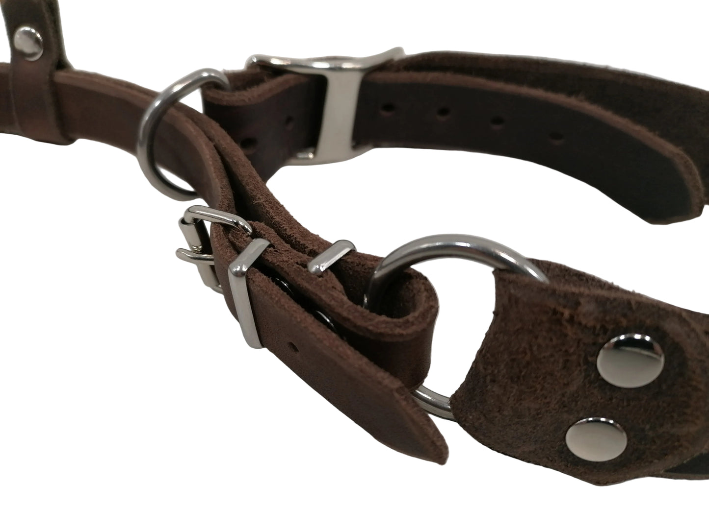 "Xaro" Halsband, Ickler Halsung, Jagdhalsung, Fettleder, Zugstopp, verstellbar, Leder, Hund