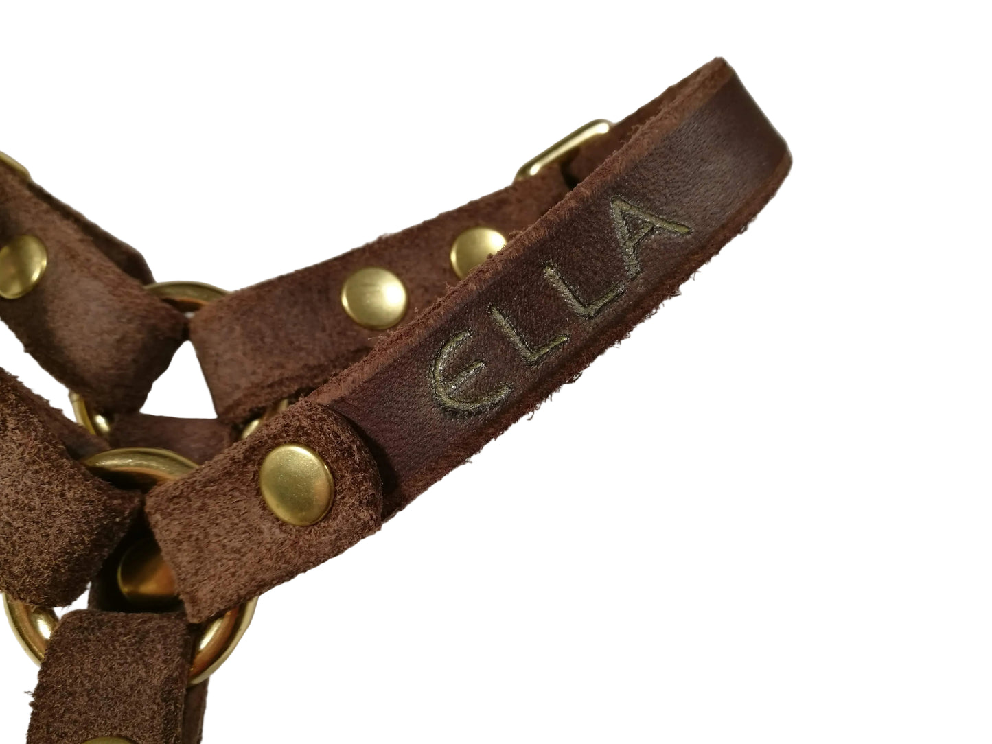 Gravur auf Halsband