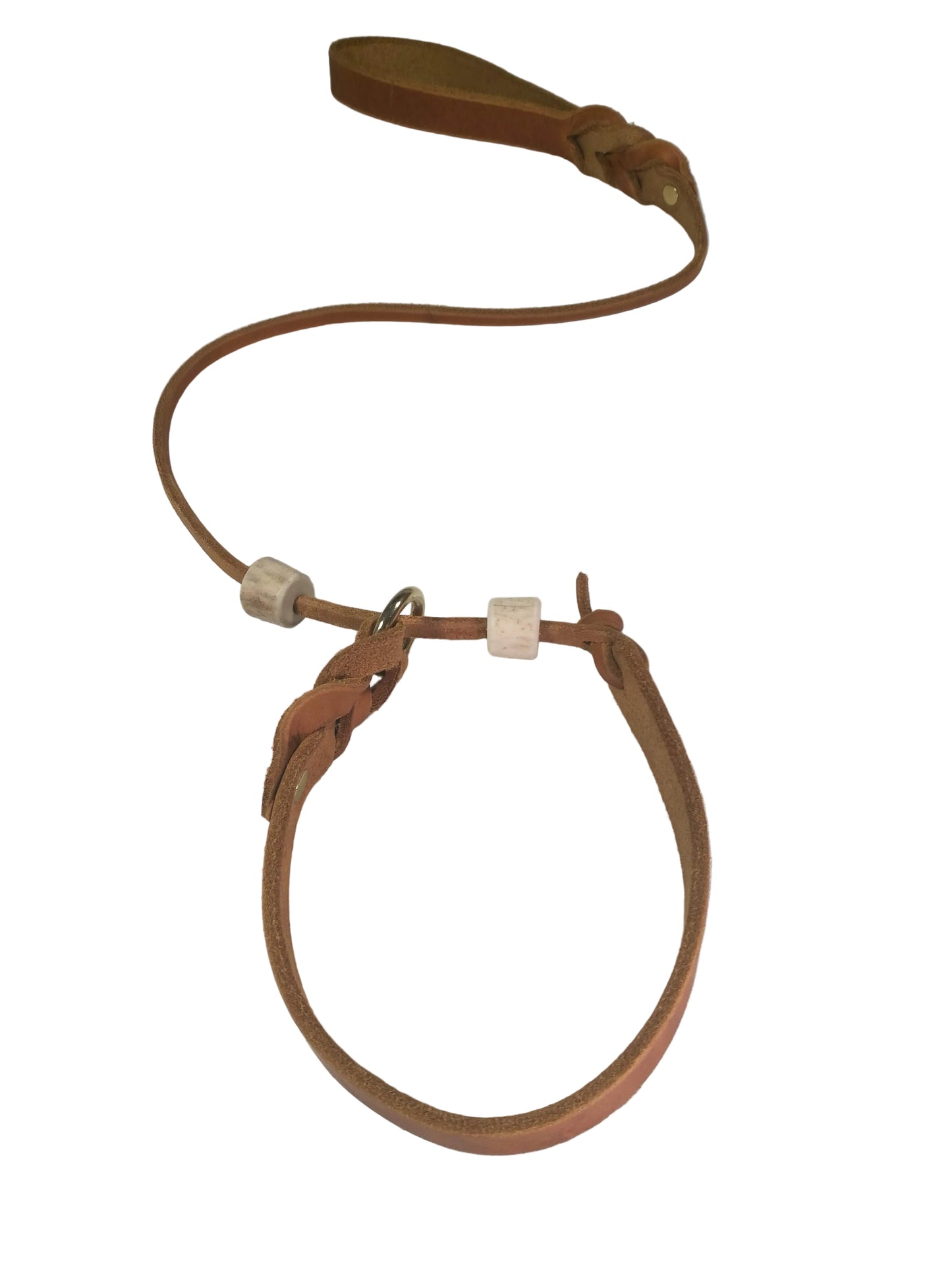 "Willow" mit Halsung, Halsband, Leder, Fettleder, Hund