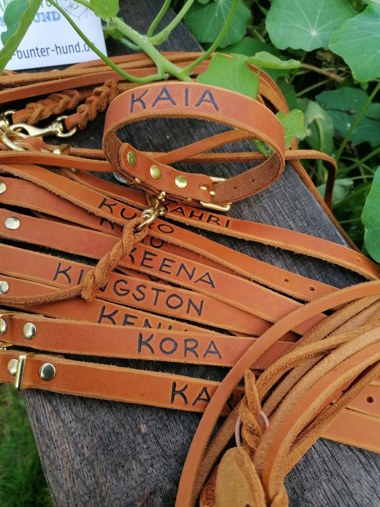 Gravur auf Halsband