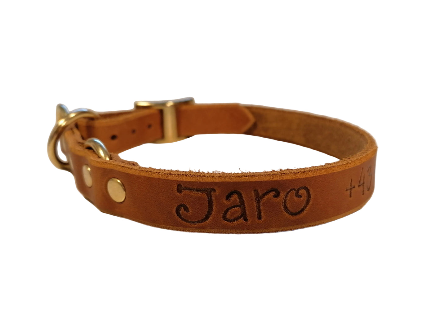 Gravur auf Halsband