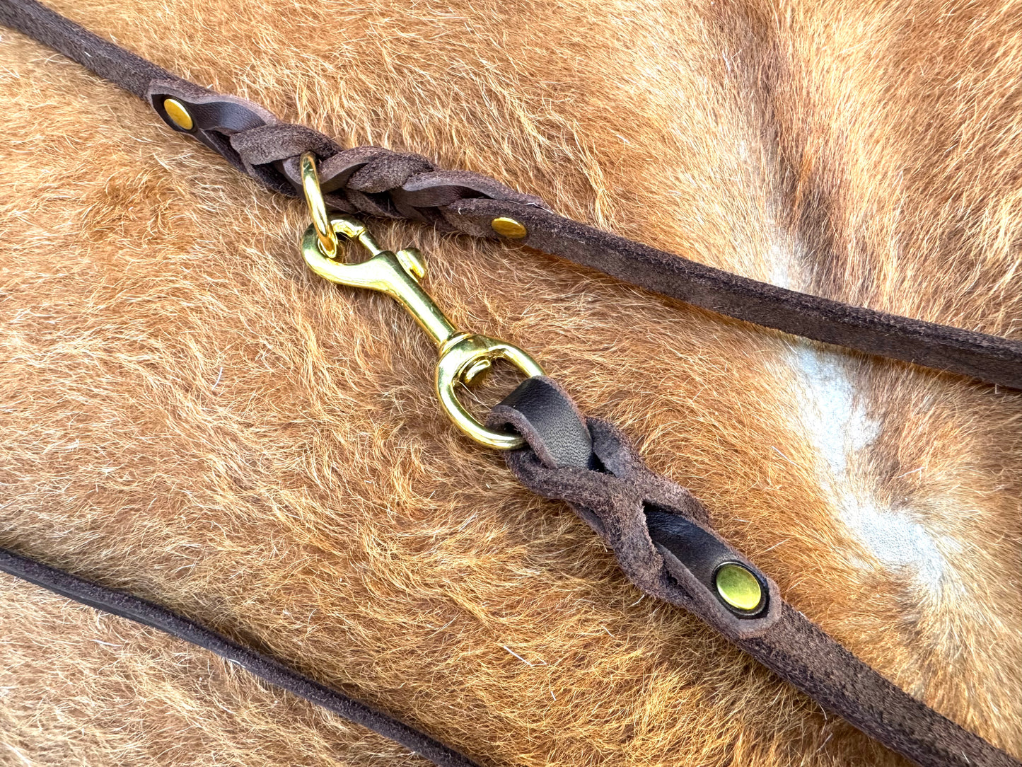 2 m "Rosalie" Umhängeleine mit Schlupfhalsung, Zugstopp, Leine Leder Fettleder geflochten, Moxon