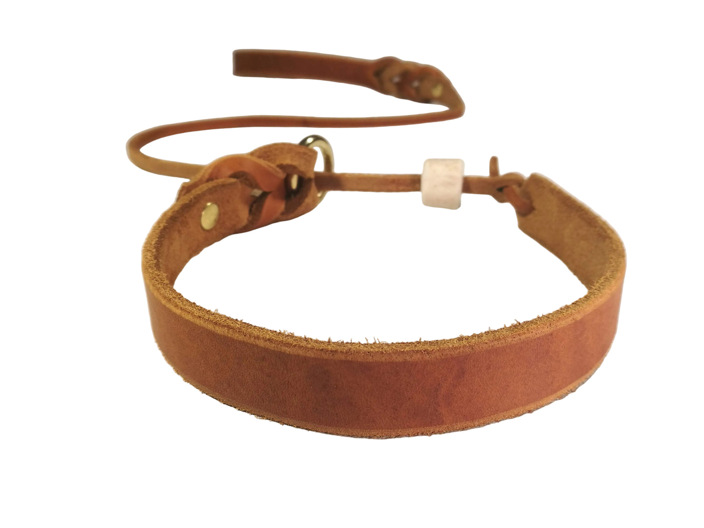 "Willow" mit Halsung, Halsband, Leder, Fettleder, Hund