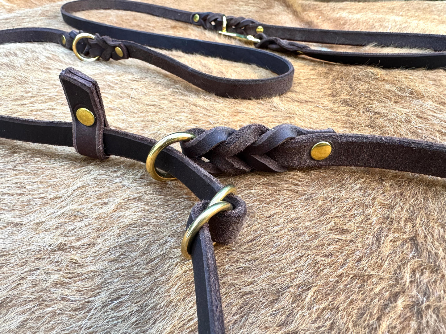 2 m "Rosalie" Umhängeleine mit Schlupfhalsung, Zugstopp, Leine Leder Fettleder geflochten, Moxon