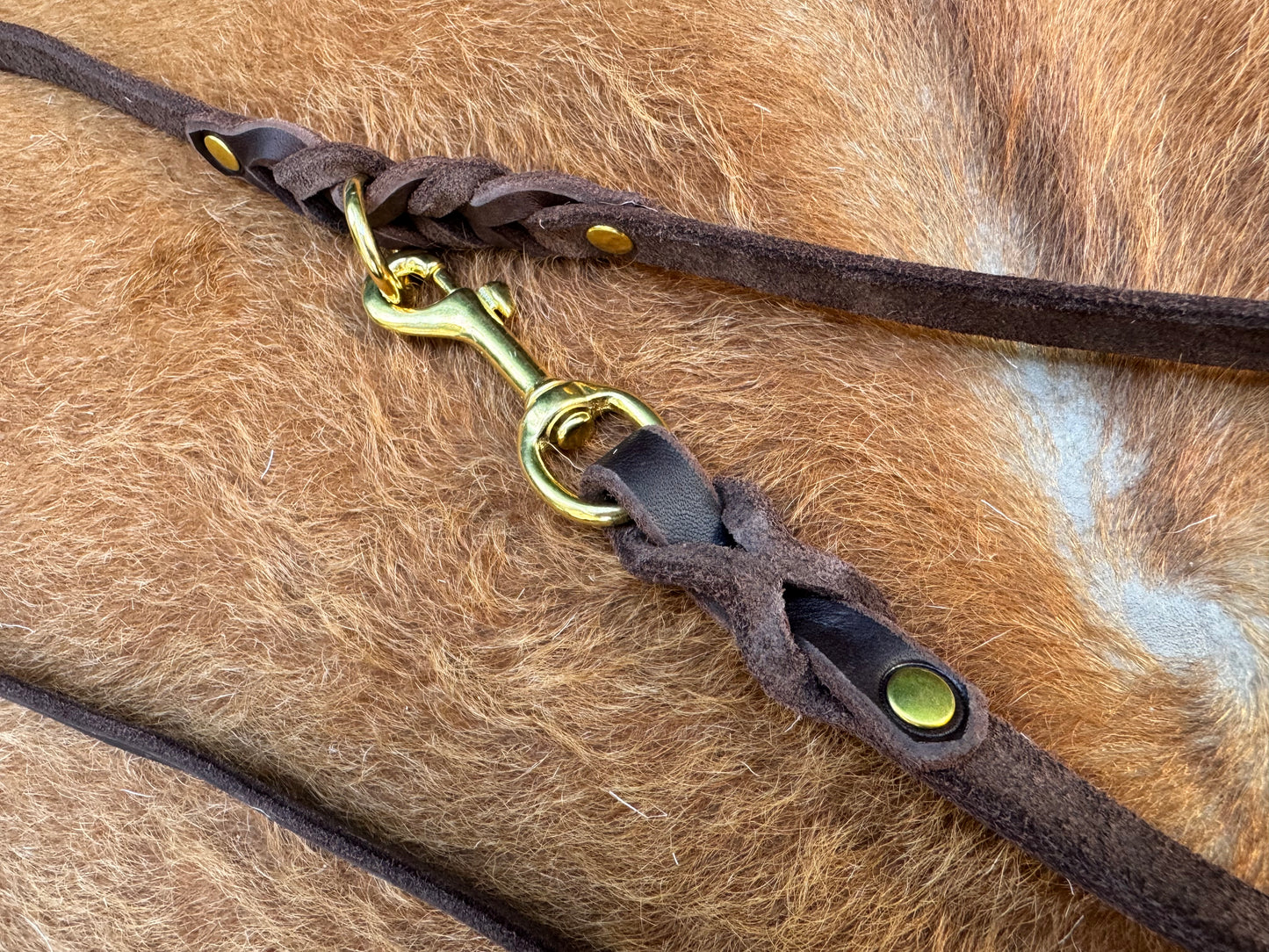 2 m "Rosalie" Umhängeleine mit Schlupfhalsung, Zugstopp, Leine Leder Fettleder geflochten, Moxon
