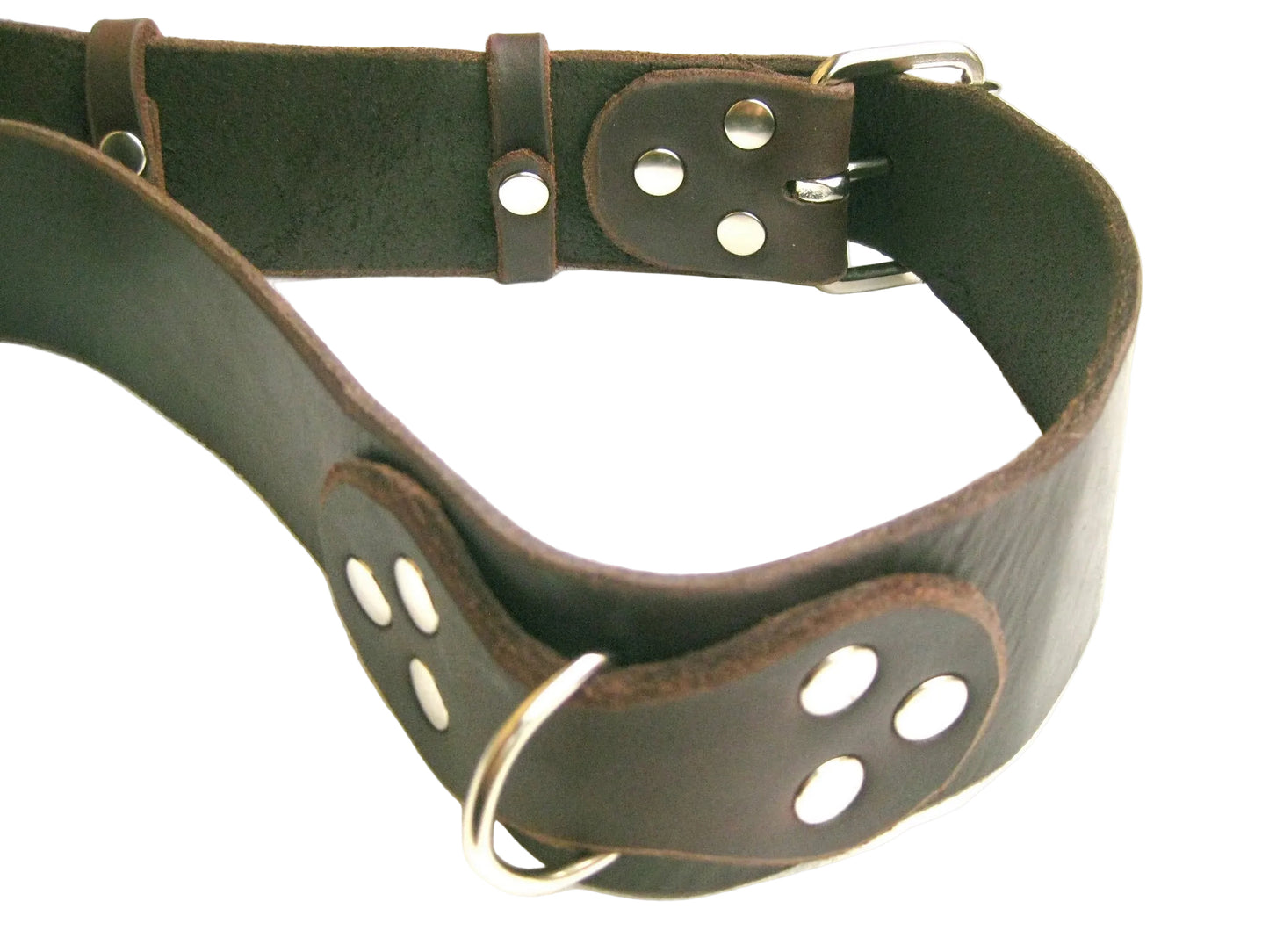 Ledergürtel Jogginggürtel Gassigürtel für Hundebesitzer, Fettleder