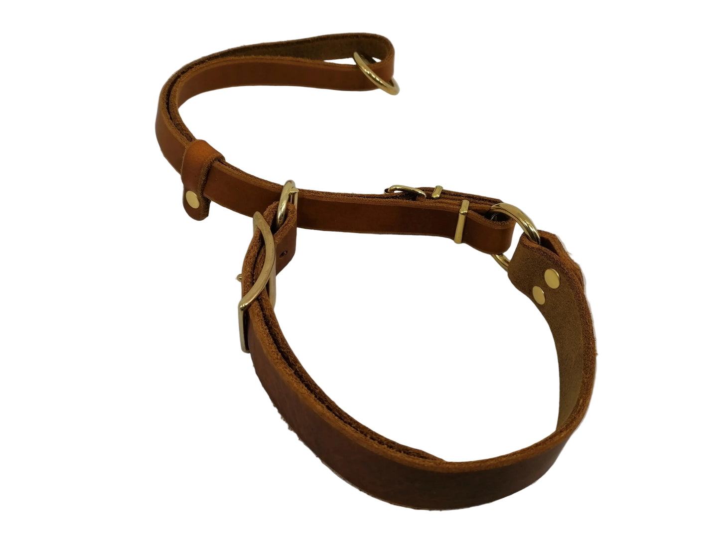 "Xaro" Halsband, Ickler Halsung, Jagdhalsung, Fettleder, Zugstopp, verstellbar, Leder, Hund