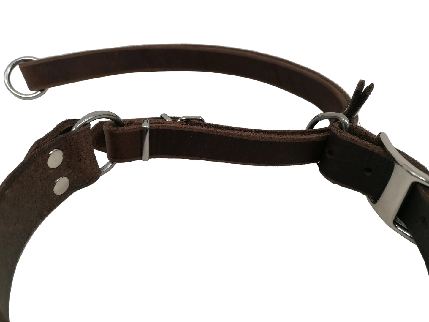 "Xaro" Halsband, Ickler Halsung, Jagdhalsung, Fettleder, Zugstopp, verstellbar, Leder, Hund
