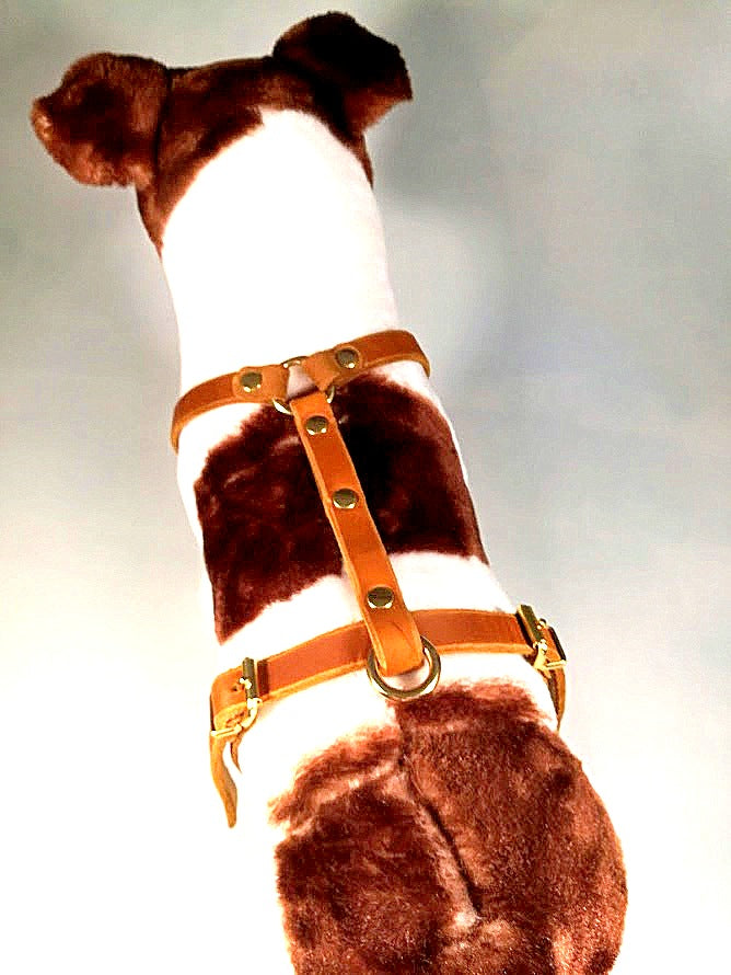 Brustgeschirr, Hundegeschirr, Ledergeschirr, Leder, Fettleder, Hund