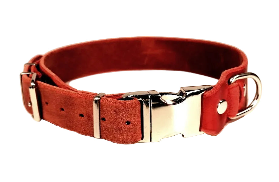 "Elliot" Halsband Klick, verstellbar, Fettleder, Leder, Hund
