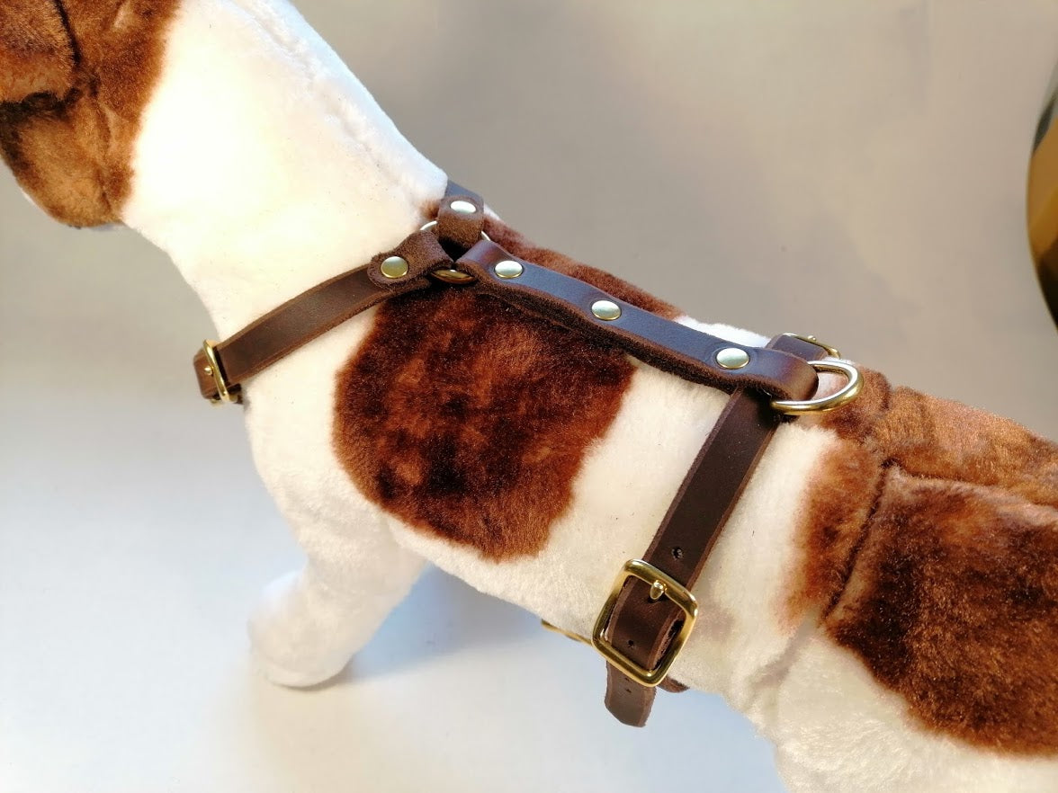 Brustgeschirr, Hundegeschirr, Ledergeschirr, Leder, Fettleder, Hund
