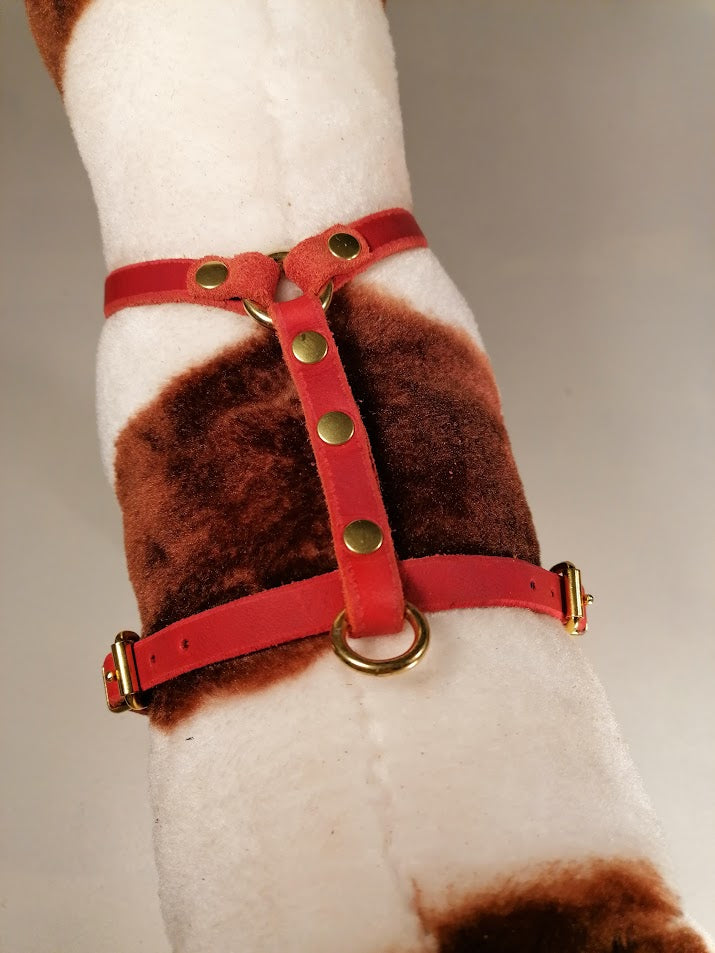 Brustgeschirr, Hundegeschirr, Ledergeschirr, Leder, Fettleder, Hund