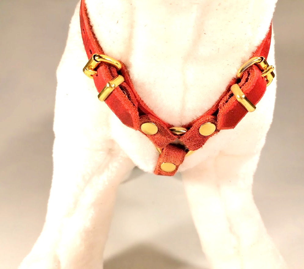 Brustgeschirr, Hundegeschirr, Ledergeschirr, Leder, Fettleder, Hund