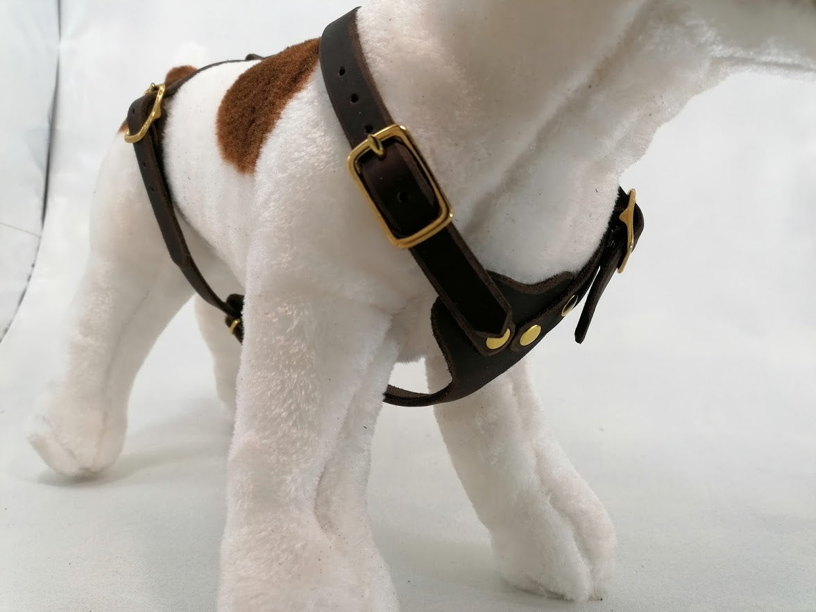 Brustgeschirr, Hundegeschirr, Ledergeschirr, Leder, Fettleder, Hund