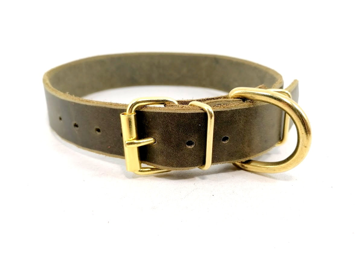 "Leo", ganz schlicht, Halsband, Fettleder, Leder, Hund