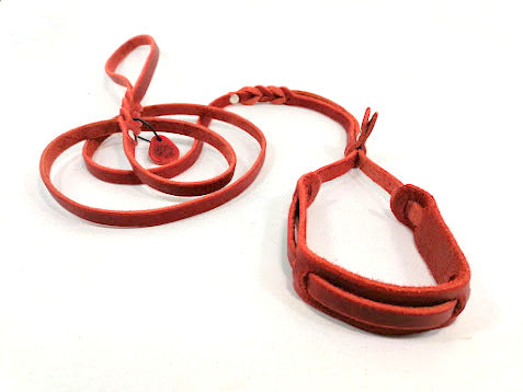 Sonderanfertigungen Fettleder, Leine Fettleder Leder geflochten Hundeleine Halsband Geschirr Hund