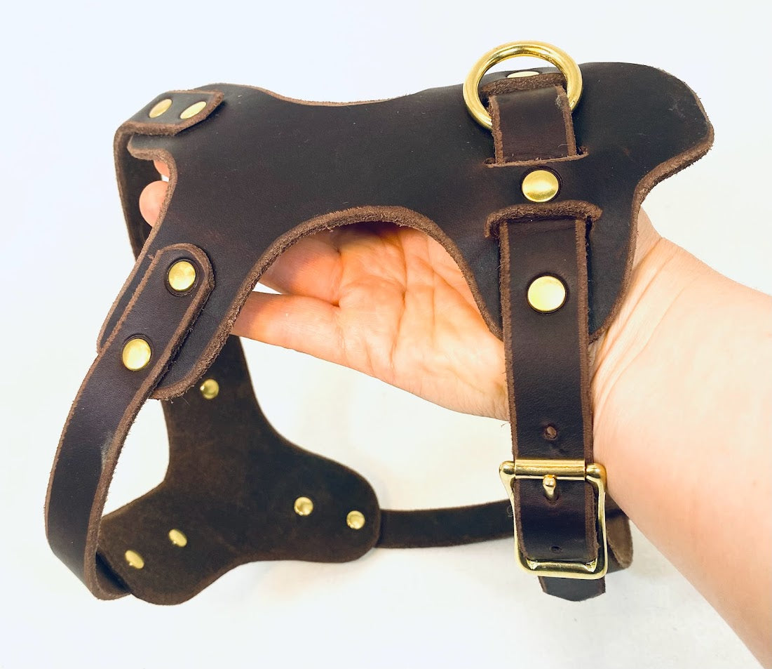 Sonderanfertigungen Fettleder, Leine Fettleder Leder geflochten Hundeleine Halsband Geschirr Hund