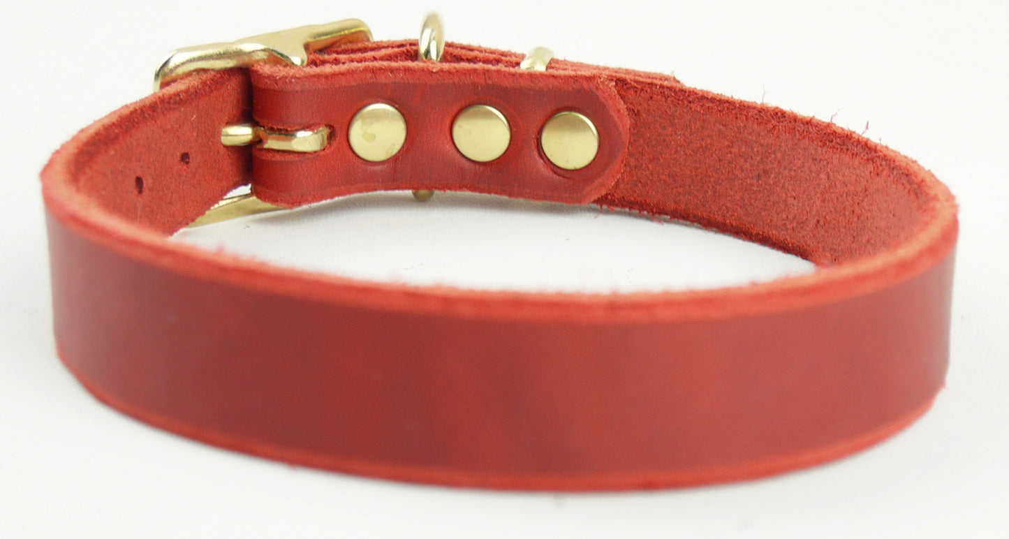 "Leo", ganz schlicht, Halsband, Fettleder, Leder, Hund